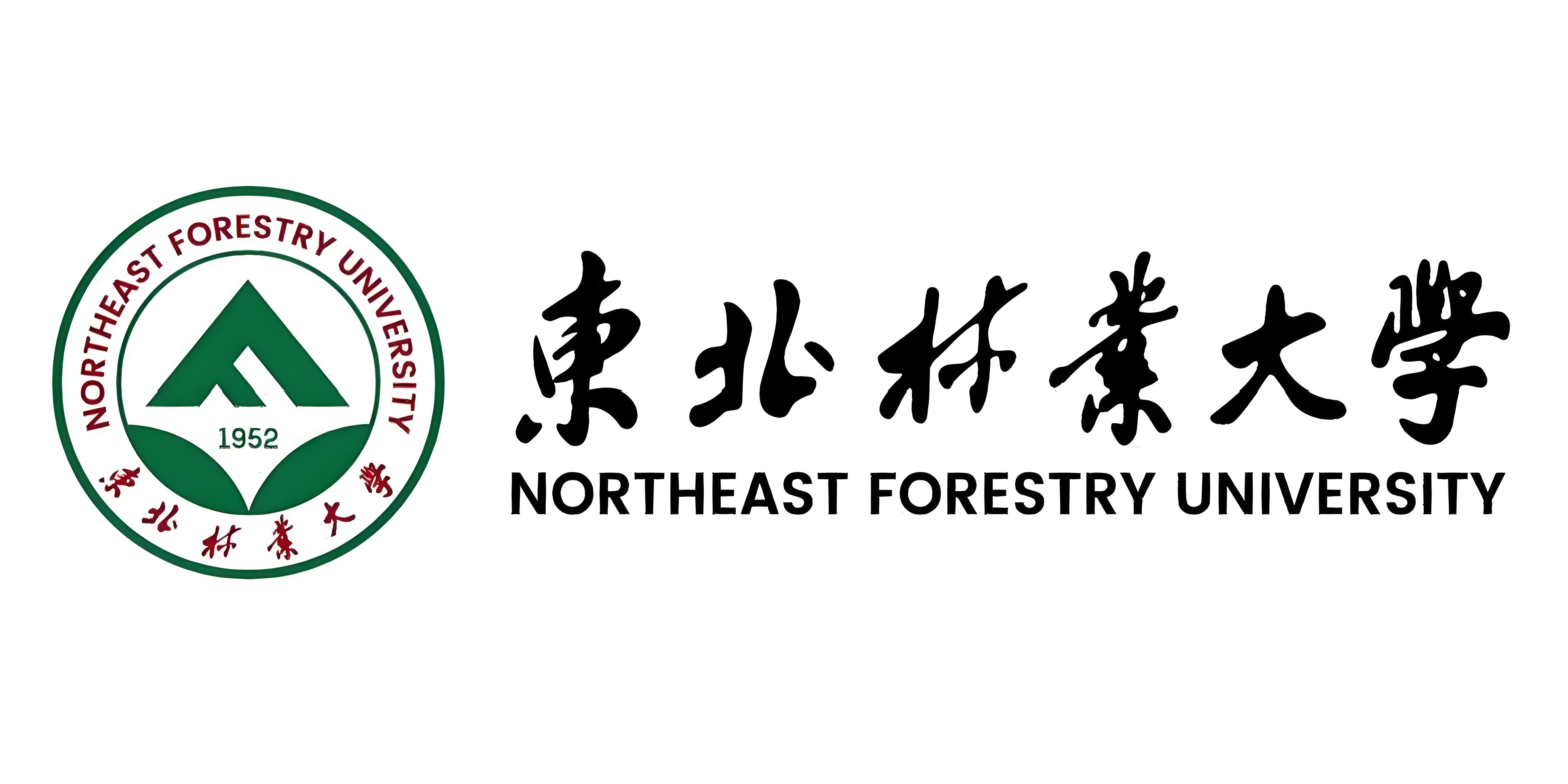 logo-20.jpg