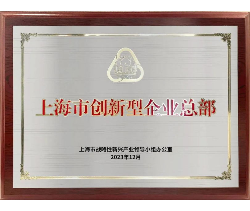 shanghaishichuangxinxingqiyezongbu.png